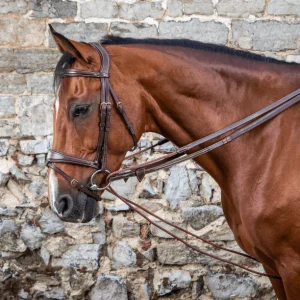 Rènes Allemandes Cuir/Nylon 5/8 D