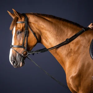 Rènes Allemandes Cuir/Nylon 5/8 NE