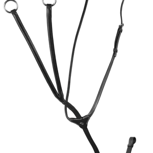 Martingale à anneaux HC