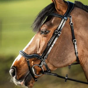 1.HFI016BK-Teteprofil.jpgv1740669530 Bridon techno