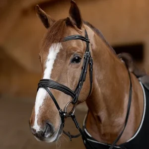 1.HFI020BK-Tetebiais.jpgv1740668691 Bridon combiné padded