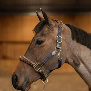 Licol Mixed cuir et Nylon