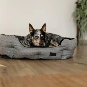 Panier pour chien Ovale