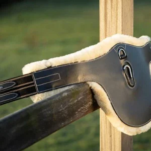 Sangle bavette mouton evo mousqueton