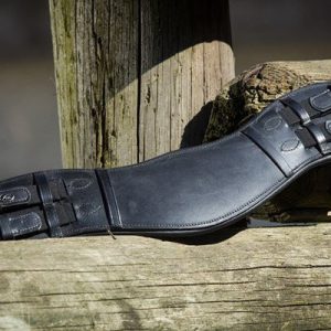 Sangle de dressage noire