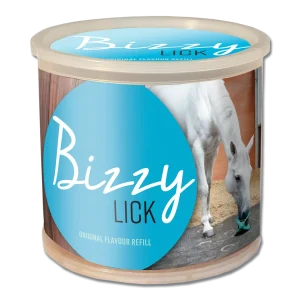 Pierre à lécher Bizzy Horse 1 kg