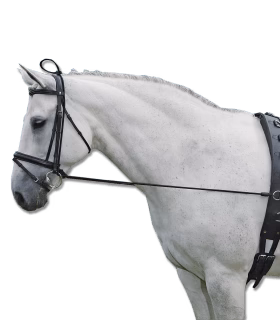 Elongateur d‘encolure élastique