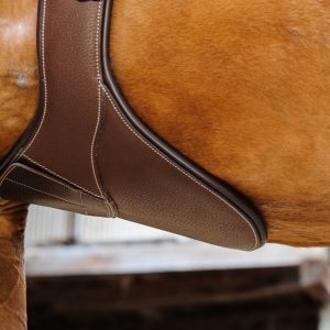 Sangle bavette Magnet