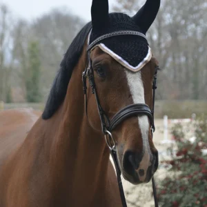 Bonnet Paddock Origine