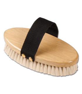 Brosse reluisante