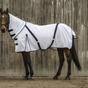 400_350_063_ambi1.jpgv1718375589 Chemise Mesh