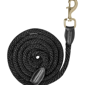 Longe de présentation