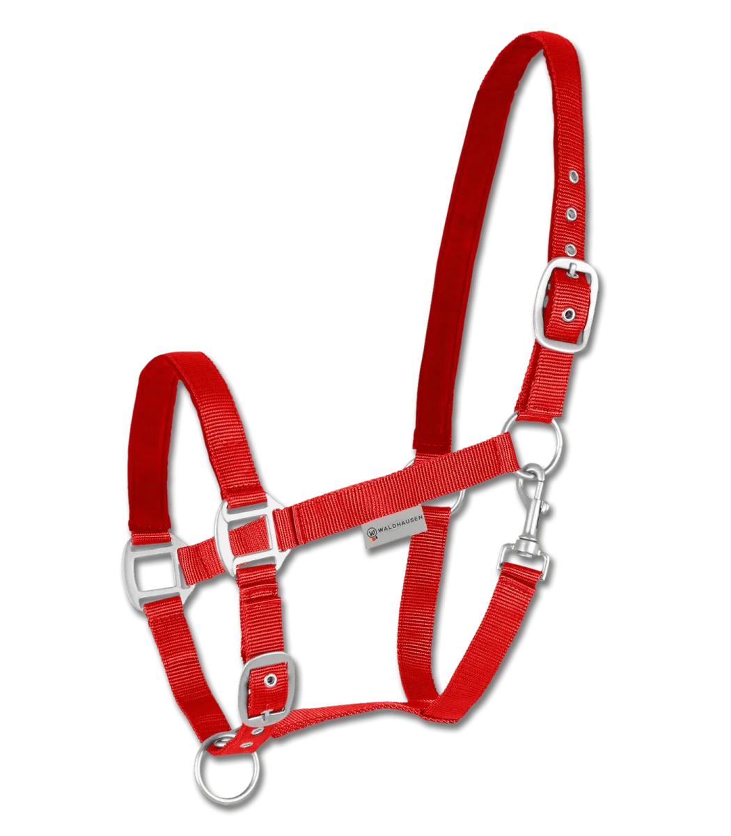 Licol Satin – Image 2