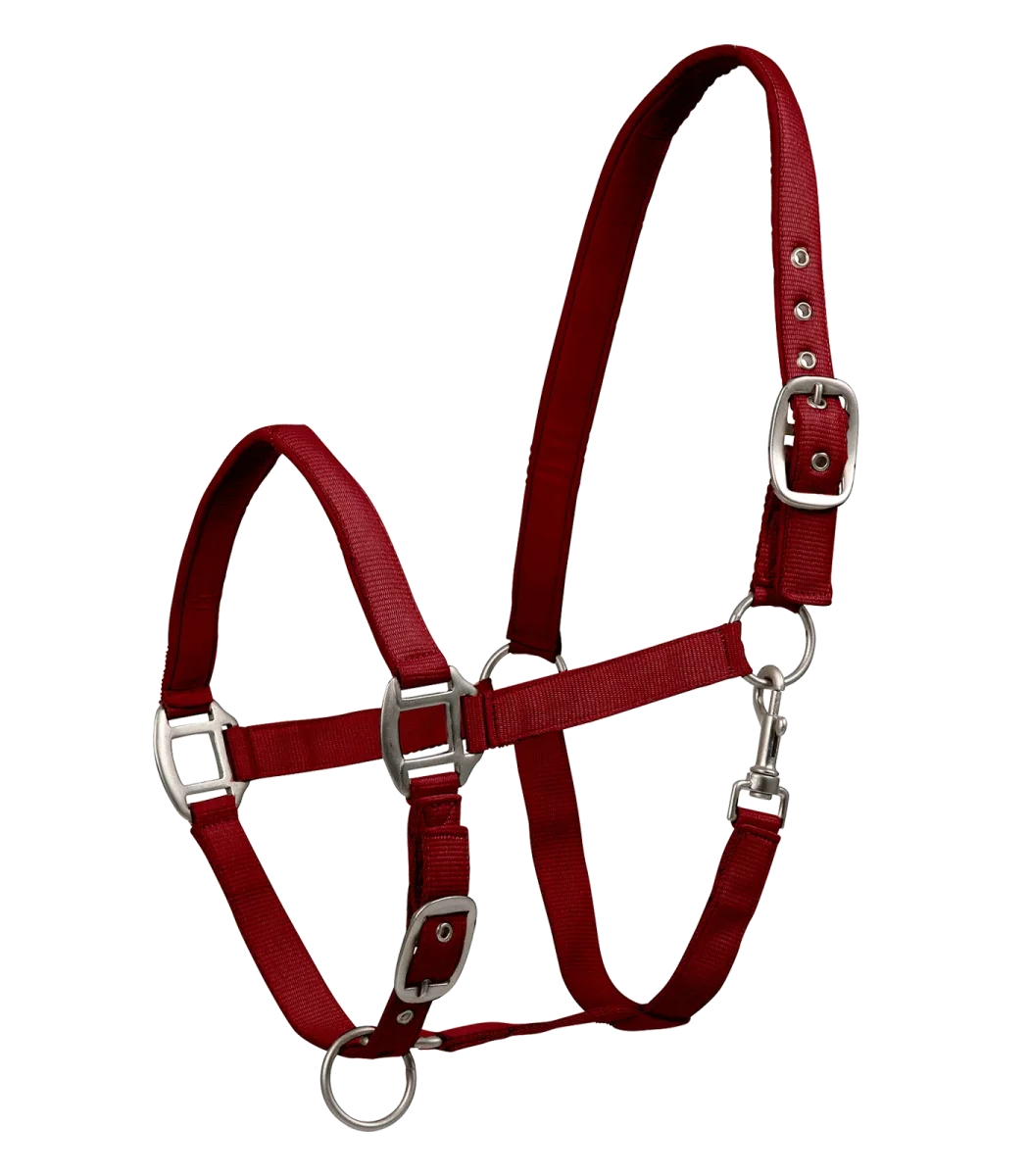 Licol Satin – Image 5