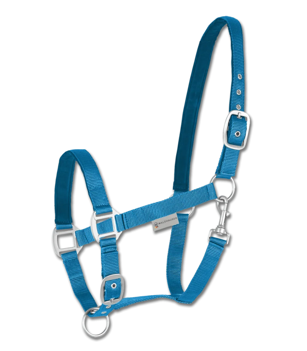 Licol Satin – Image 7