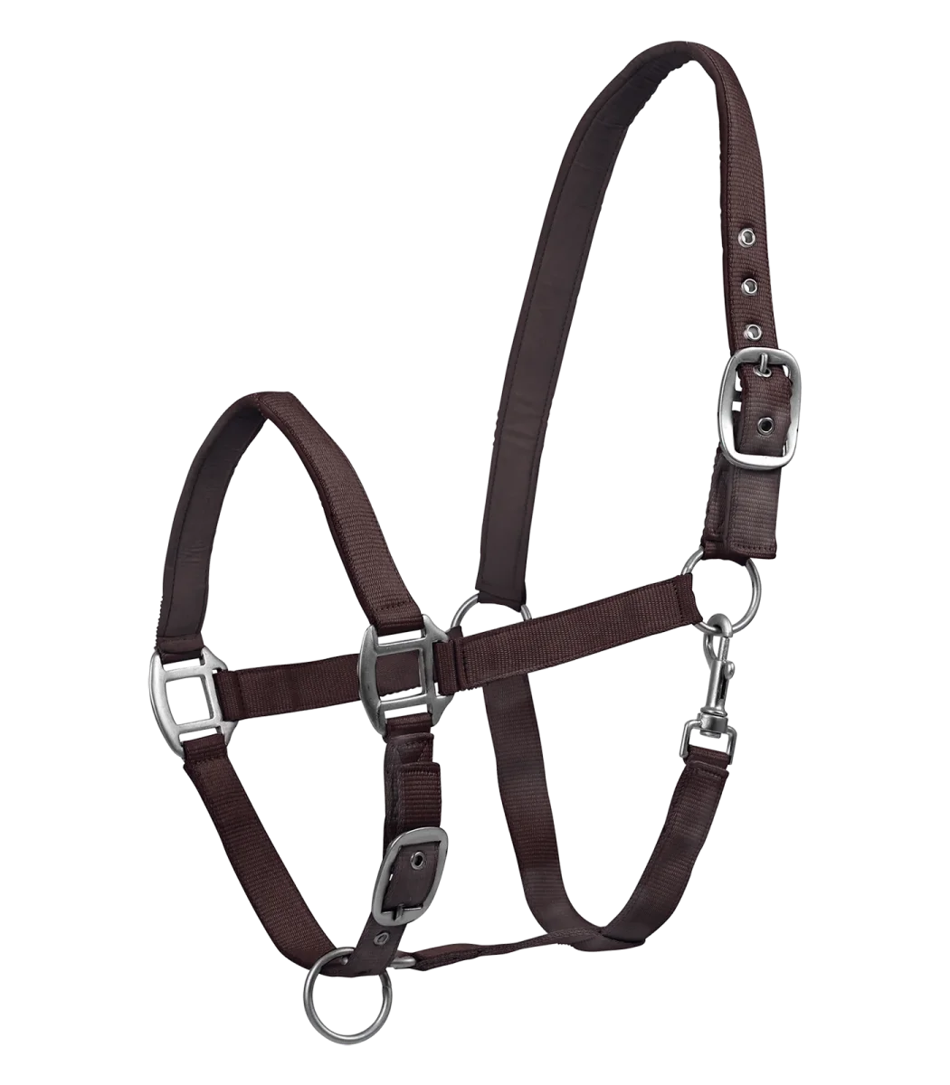 Licol Satin – Image 8