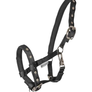 LICOL POUR POULAIN CONFORT