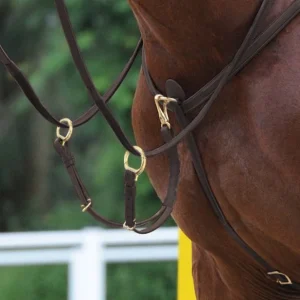 Collier de chasse martingale phoenix