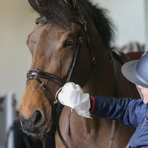 Gants de nettoyage Belvoir