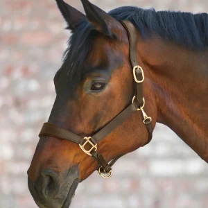 Licol Waldhausen X Line en cuir Anatomic