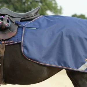 Bucas Therapy Quarter Sheet