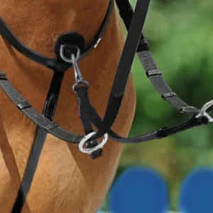 Fourche de martingale PASSIER