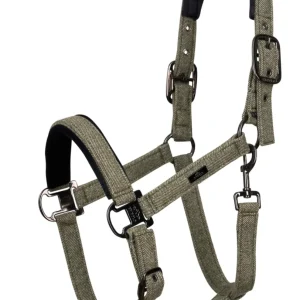 Licol HVPFrancis HV Polo