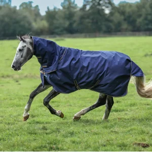 Irish Turnout 300 + Neck