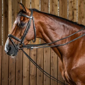 Rènes allemandes tout cuir