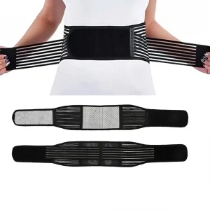 Ceinture dorsale