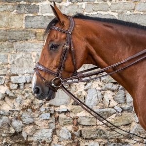Rènes Allemandes Tout Cuir 1/2 D