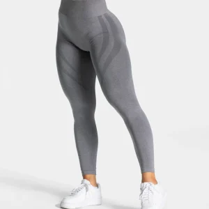 Evolution V2 Leggings "Grau"