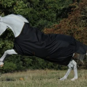 Irish Turnout Light 50