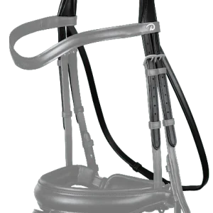 Têtière "type dressage"