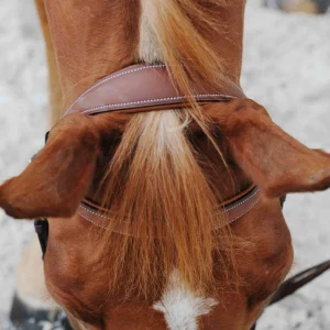 Bridon Atherstone doublé