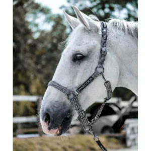 Casa Licol Et Longe Winter 21