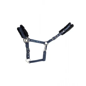 Element Licol Winter 21