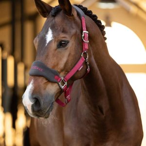 Vogue headcollar & leadrope