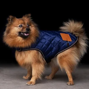 Dog coat HVP Bobby