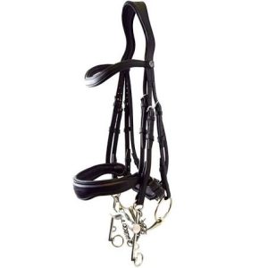 Bride dressage Signature